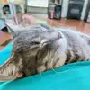 Janinne Bragg - @janinne.bragg - TikTok
