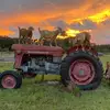 JandBRanch - @jandbranch - TikTok