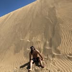 Jan Brand - @beehonza - Instagram
