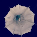 Jan Branson - @jan.branson - Instagram
