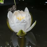 Jane Bratton - @janebphotos - Instagram
