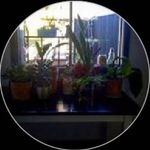 Jan Brennan - @_brennan_jan - Instagram