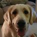 Jan Brewster - Facebook