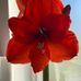 Jan Brewster - Facebook