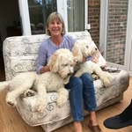 Jan Brice - @barleybrice - Instagram