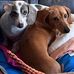 Jan Bridges - Facebook