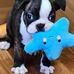 Jan Brier - Facebook