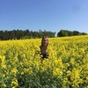 Jan Briggs - @2176112306 - TikTok