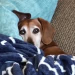 Jan Brindley - @brindleyjan - Instagram