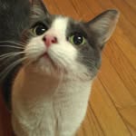 Janet Brinkerhoff - @janet.brinkerhoff98 - Instagram