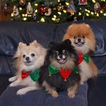 Jan Brookshire - @jan.brookshire - Instagram