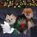 Jan Brookshire - Facebook