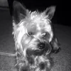 Jana Broussard - @jana_broussard - TikTok