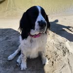 Jan Brownfield - @missymoo323 - Instagram
