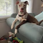 Jan Broyles - @jan_broyles - Instagram