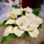 Jane Adkins Broyles - @broylesjane - Instagram