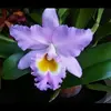 Janet Brubaker - @janet.brubaker - TikTok