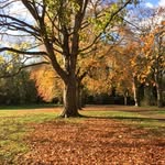 Jan Bruce - @janknits34 - Instagram