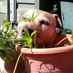 Jan Bruce - @javelin572000 - Instagram