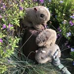 Jan Bruce - @ramblingwombats - Instagram