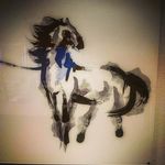 Jan Brunk - @dr.horse2014 - Instagram