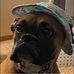 Jan Brunner - Facebook