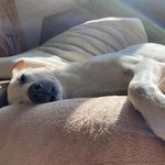 Jan Brunner - @peanut040272 - Instagram
