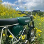 jannis Buchholz - @jan__buch - Instagram