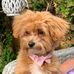 Jan Buckler - Facebook