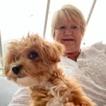 Jan Buckler - @janzeebee - Instagram