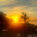 Jane Buckler - Facebook