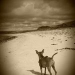 Jan Buckley - @jan.buckley.75 - Instagram
