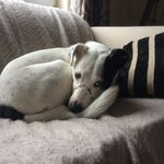 Jan Buckley - @janpaulabuckley - Instagram