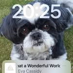 Sarah Jane Buckley - @sarahjanebuckley - Instagram