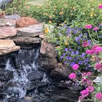 Janet Lee Buckmaster - Facebook