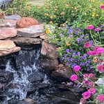 Janet Lee Buckmaster - @janet.lee.buckmaster - Instagram
