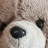 Jan Buczek - @jan.buczek4 - TikTok