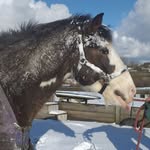 Jan Budd - @jan.budd.10 - Instagram