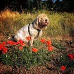Jan Budding - @jan_budding_53 - Instagram