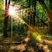 Jan Buffington - Facebook