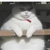 Jade - @janbun - TikTok