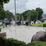 Kanyanat Janbun - @janbunkanyanat - Instagram