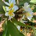 Jan Burge - Facebook