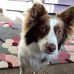 Jan Burge - Facebook