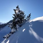 Jan Burgener - @jan.burgener - Instagram