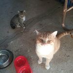 jan burman - @burmanj1 - Instagram