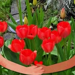 Janet Burnside - Facebook