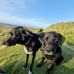 Jan Burroughs - @jan.burroughs.5 - Instagram