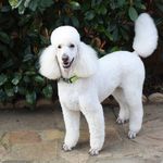 Jan Busby - @jan.busby.75 - Instagram