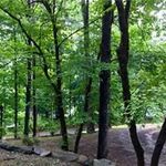Jan Nabers Busby - @jan.busby - Instagram
